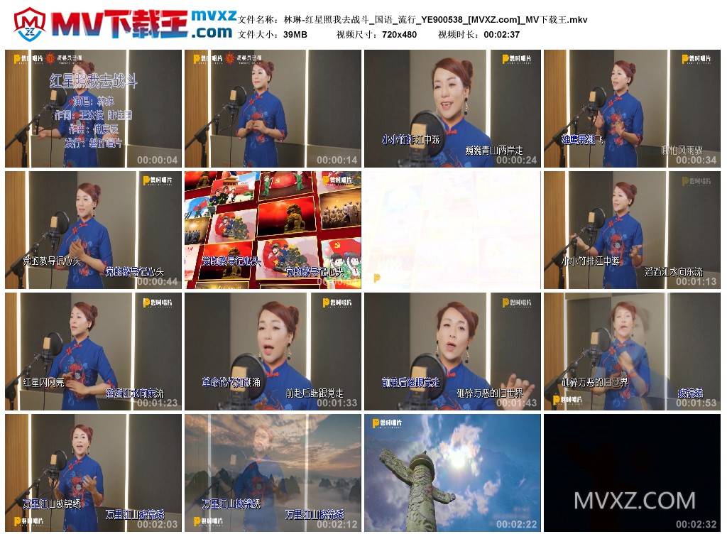 林琳-红星照我去战斗_国语_流行_YE900538